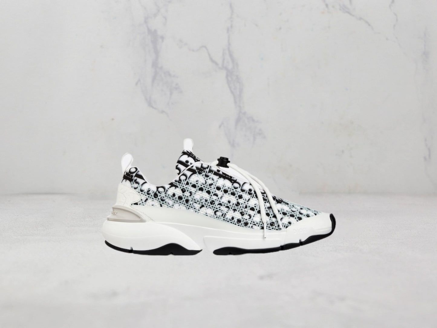 Sneaker Dior B24 Toile Oblique