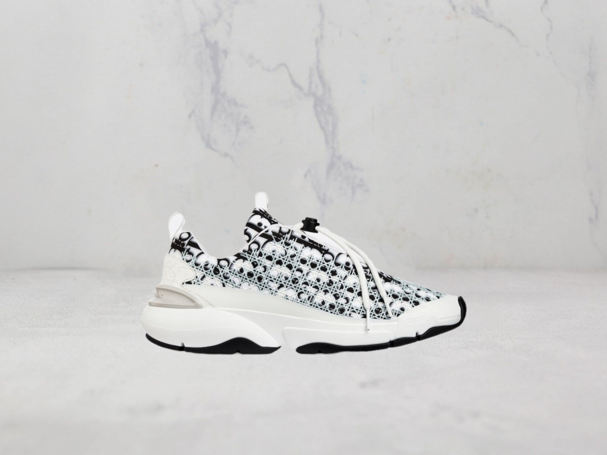 Sneaker Dior B24 Toile Oblique