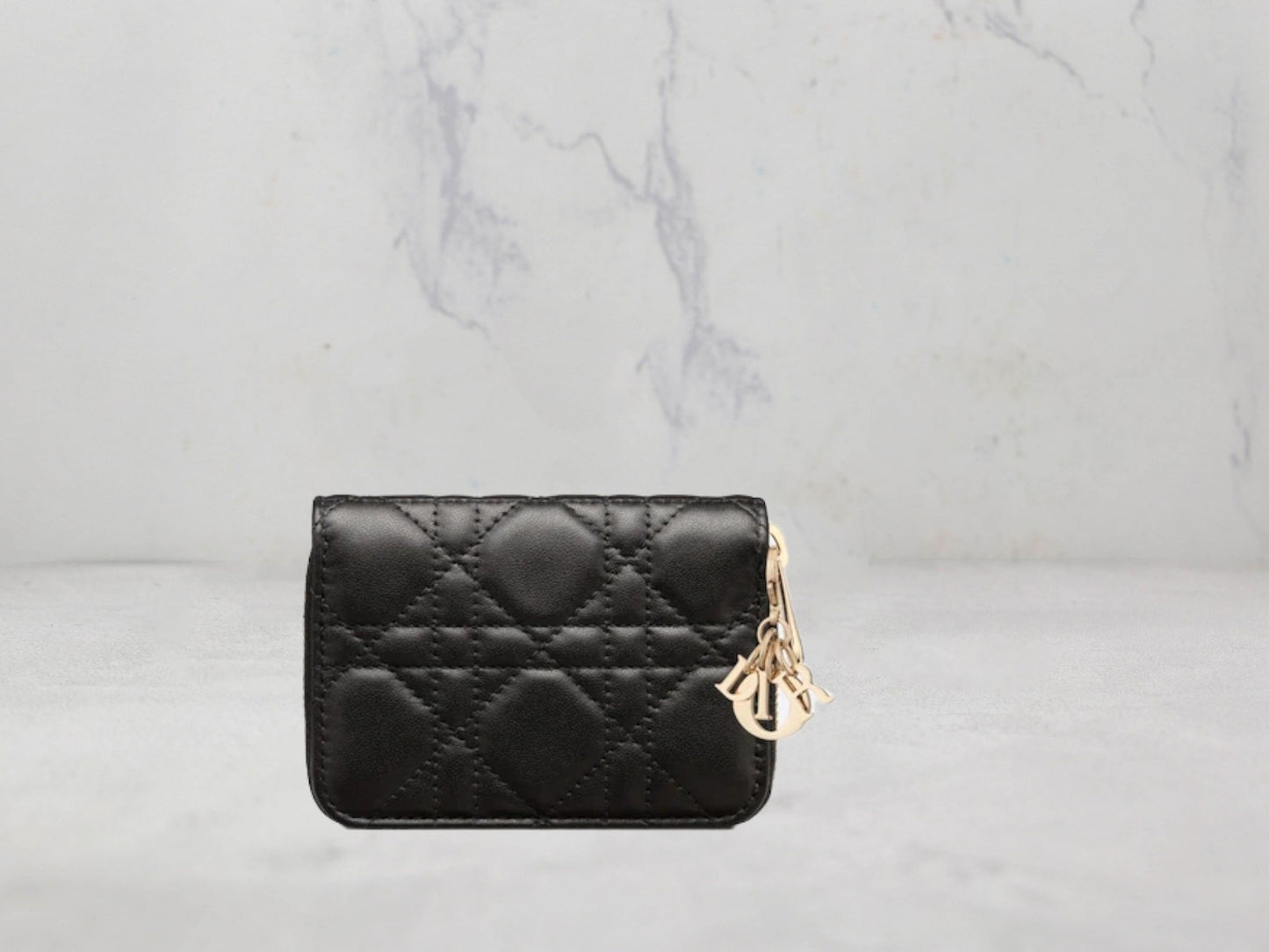 Petit Porte-Monnaie Dior Voyageur Lady