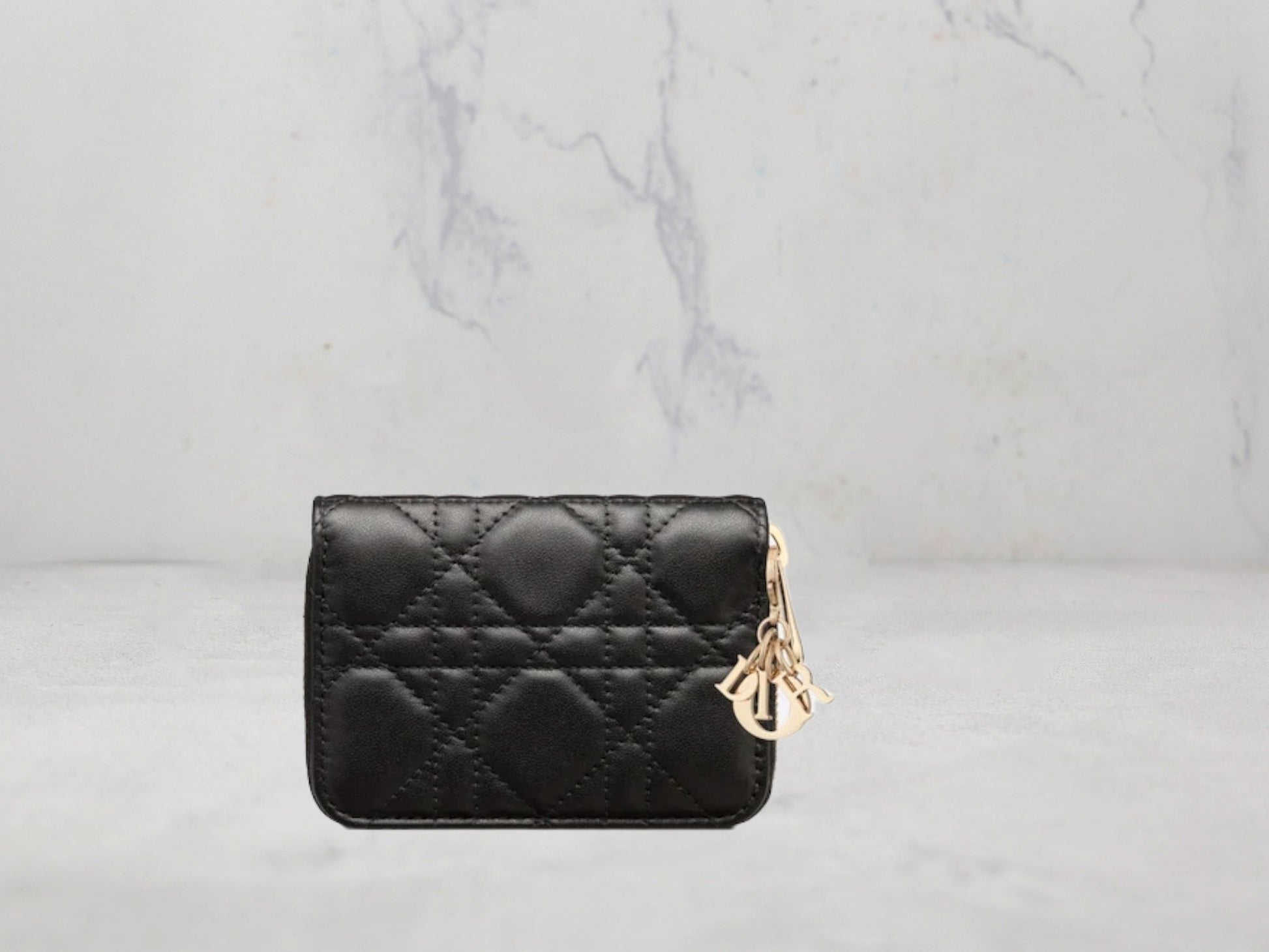 Petit Porte-Monnaie Dior Voyageur Lady